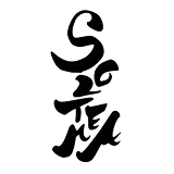 soltema_logo_black